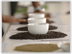 health benefits of tea